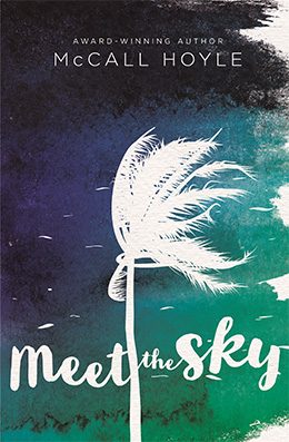 Meet the Sky